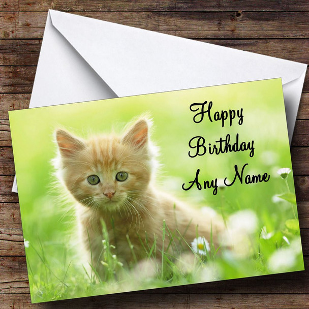 Lovely Ginger Kitten In A Meadow Customised Birthday Card