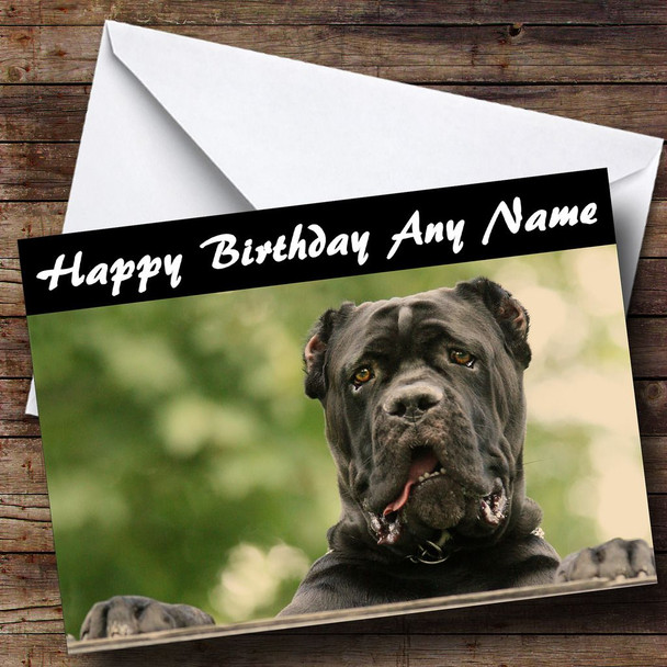 Cane Corso Dog Customised Birthday Card