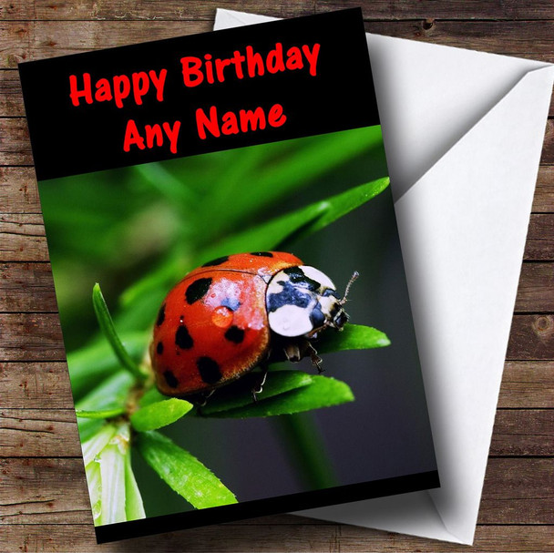 Ladybird Customised Birthday Card