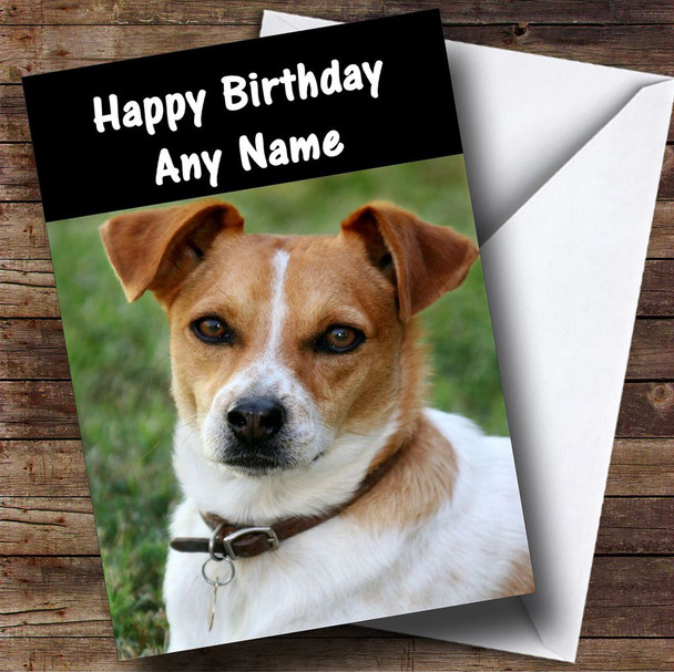 Jack Russell Dog Customised Birthday Card