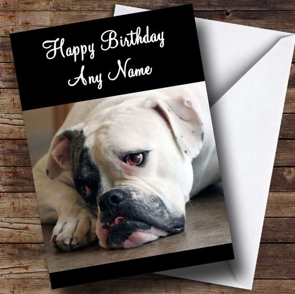 Sad American Bulldog Dog Customised Birthday Card