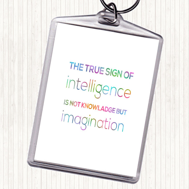 Sign Of Intelligence Rainbow Quote Keyring