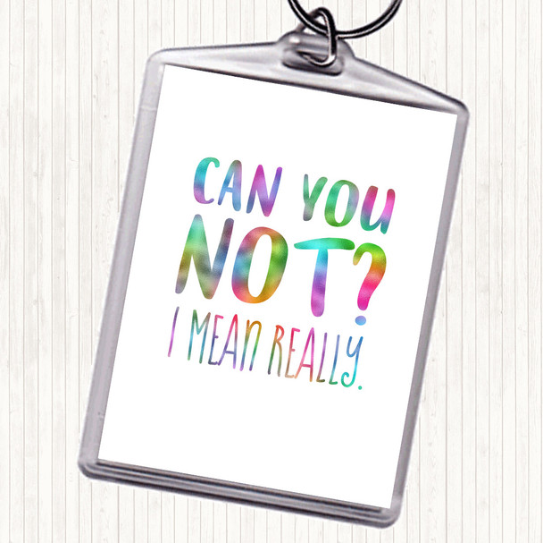 Can You Not Rainbow Quote Keyring