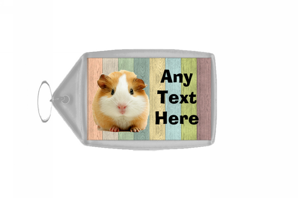Guinea Pig Coloured Keyring