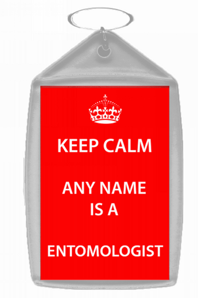 Entomologist Keep Calm Keyring