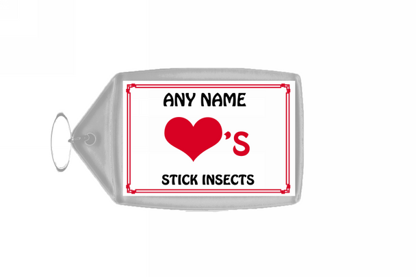 Love Heart Stick Insects Keyring
