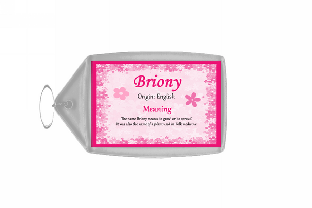 Briony Name Meaning Keyring