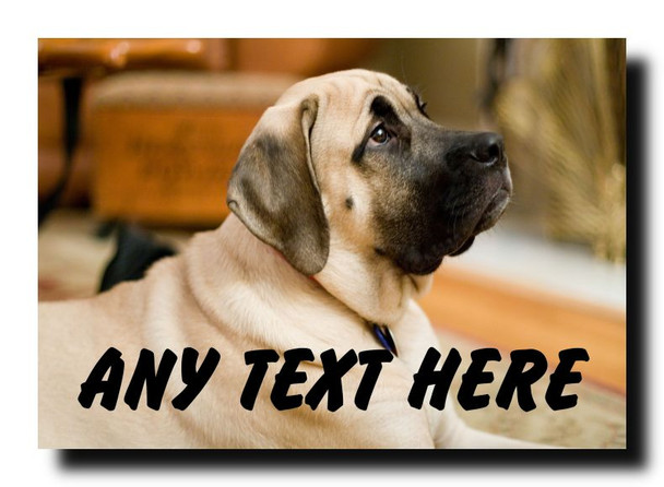 English Mastiff Jumbo Magnet