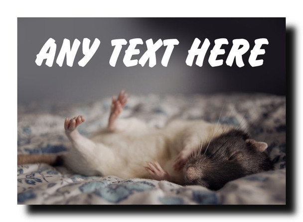 Sleeping Mouse Jumbo Magnet