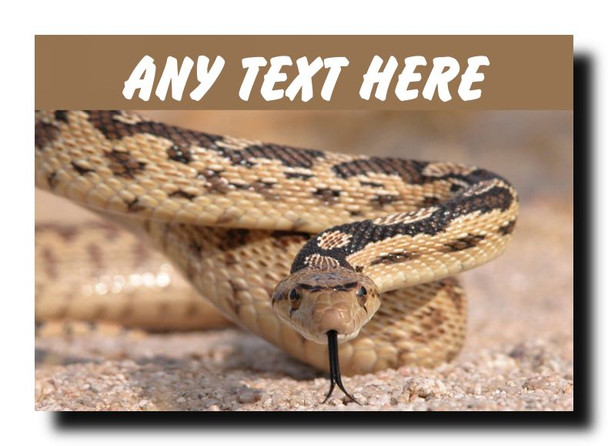 Snake Jumbo Magnet