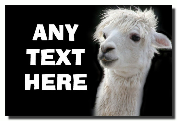 Alpaca Magnet