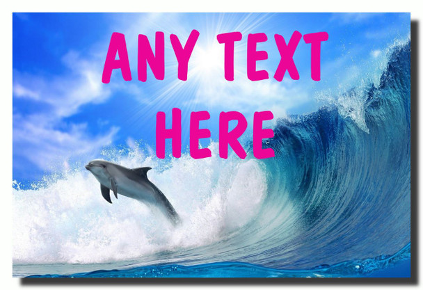 Dolphin Magnet