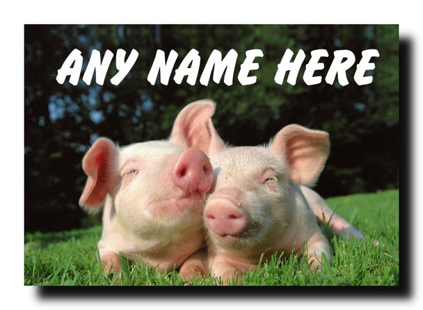 Cuddly Pigs Jumbo Magnet