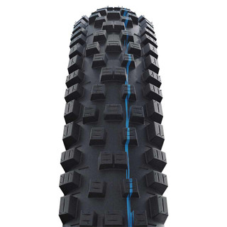 Schwalbe Nobby Nic Mountain Tire