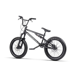 WeThePeople Swampmaster BMX Bicycle