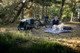 Thule Bexey Dog Bed