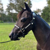 Leather Performance Halter - Black and silver bar