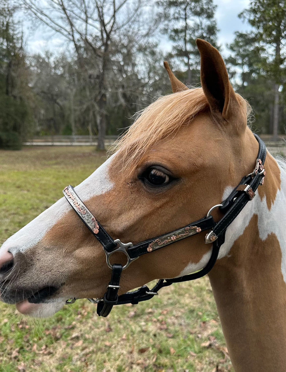 Leather Performance Halter -Rose Gold