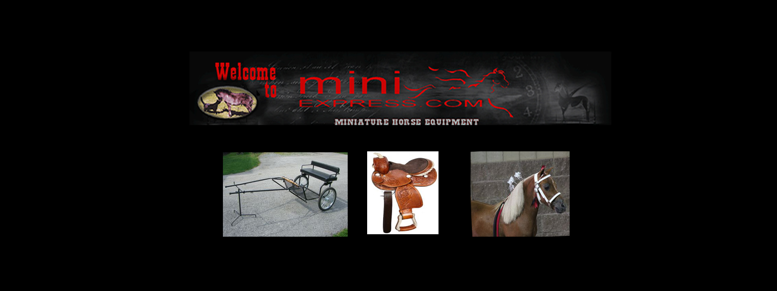 Mini Express Miniature Horse Equipment