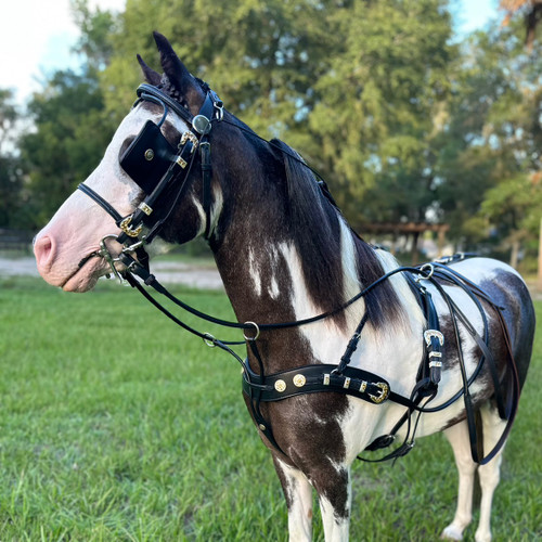 Leather Western Harness - Mini Express Tack