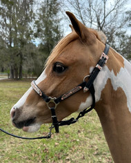 Leather Performance Halter -Rose Gold