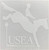 USEA Window Cling
