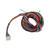AEM Wiring Harness for V3 Multi-Input Controller | 30-3324