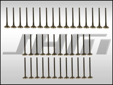 JHM HD Valve Set (JHM), Intake and Exhaust, Heavy Duty, Coated for B6-B7 S4, C6 A6 and C5 allroad w chain 4.2L 40v - JHM-B6B7S4VS