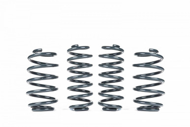 Racingline Sport Spring Kit for Volkswagen New Beetle