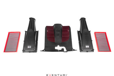 Eventuri Ferrari F12 Berlinetta Carbon Intake System | EVE-F12-CF-INT