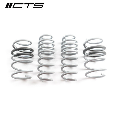 CTS Turbo B9/9.5 Audi SQ5 Lowering Springs | CTS-LS-027