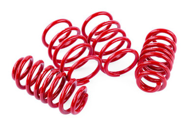 APR Roll-Control Lowering Springs for Audi RS3 8Y (2.5T) | SUS00035