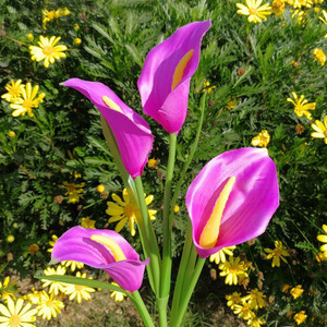 LED Calla Lily Flower Stake Light Solar Energy Rechargeable for Outdoor Garden Patio LED Calla Lily Flower Stake Light Solar Energy Rechargeable for Outdoor Garden Patio