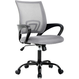 BestOffice Executive Ergonomic Chair with Lumbar Support & Swivel, for Office, Gaming, Computer, 250 Ib. Capacity, for Men, Women, Gray BestOffice Executive Ergonomic Chair with Lumbar Support & Swivel, for Office, Gaming, Computer, 250 Ib. Capacity, for Men, Women, Gray
