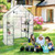 Greenhouse, 56" x 29" x 77” (W x D x H), 4 Shelves, Transparent Greenhouse, 56" x 29" x 77” (W x D x H), 4 Shelves, Transparent