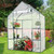 Greenhouse, 56" x 29" x 77” (W x D x H), 4 Shelves, Transparent Greenhouse, 56" x 29" x 77” (W x D x H), 4 Shelves, Transparent
