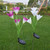 Lily Multi-Changing LED Lights - Solar Garden Stake Lights Lily Multi-Changing LED Lights - Solar Garden Stake Lights