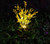 Outdoor Garden Patio Pathway Porch Backyard, LED Canola Flower Stake Light Outdoor Garden Patio Pathway Porch Backyard, LED Canola Flower Stake Light