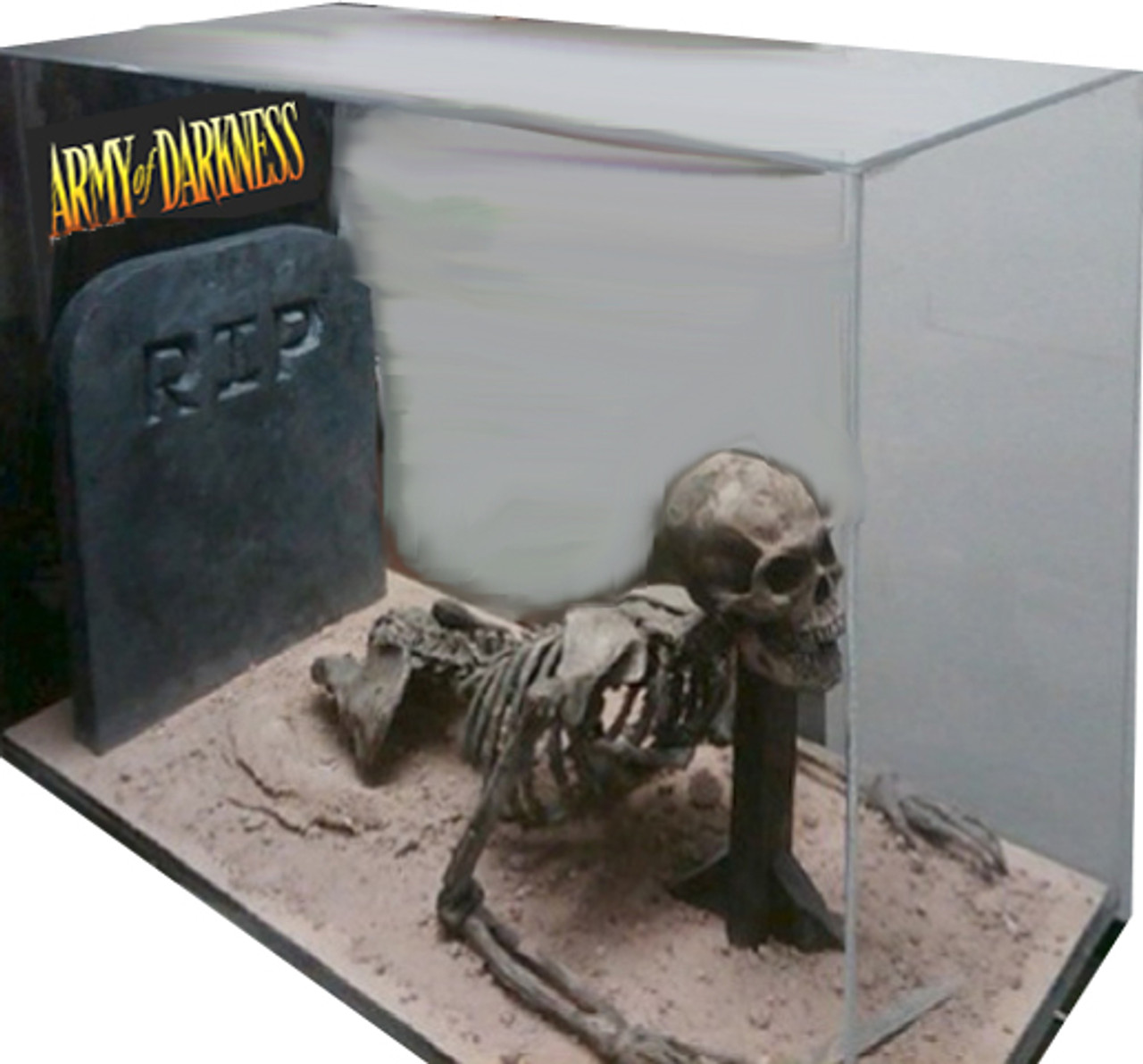 Army of Darkness Original Prop Skeleton Antiquities