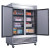 55" 2-Door Commercial Freezer in Stainless Steel