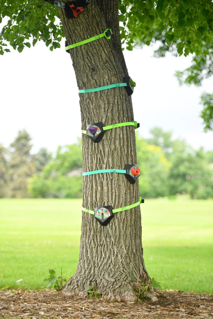 Slackers Kit Tree Climbers