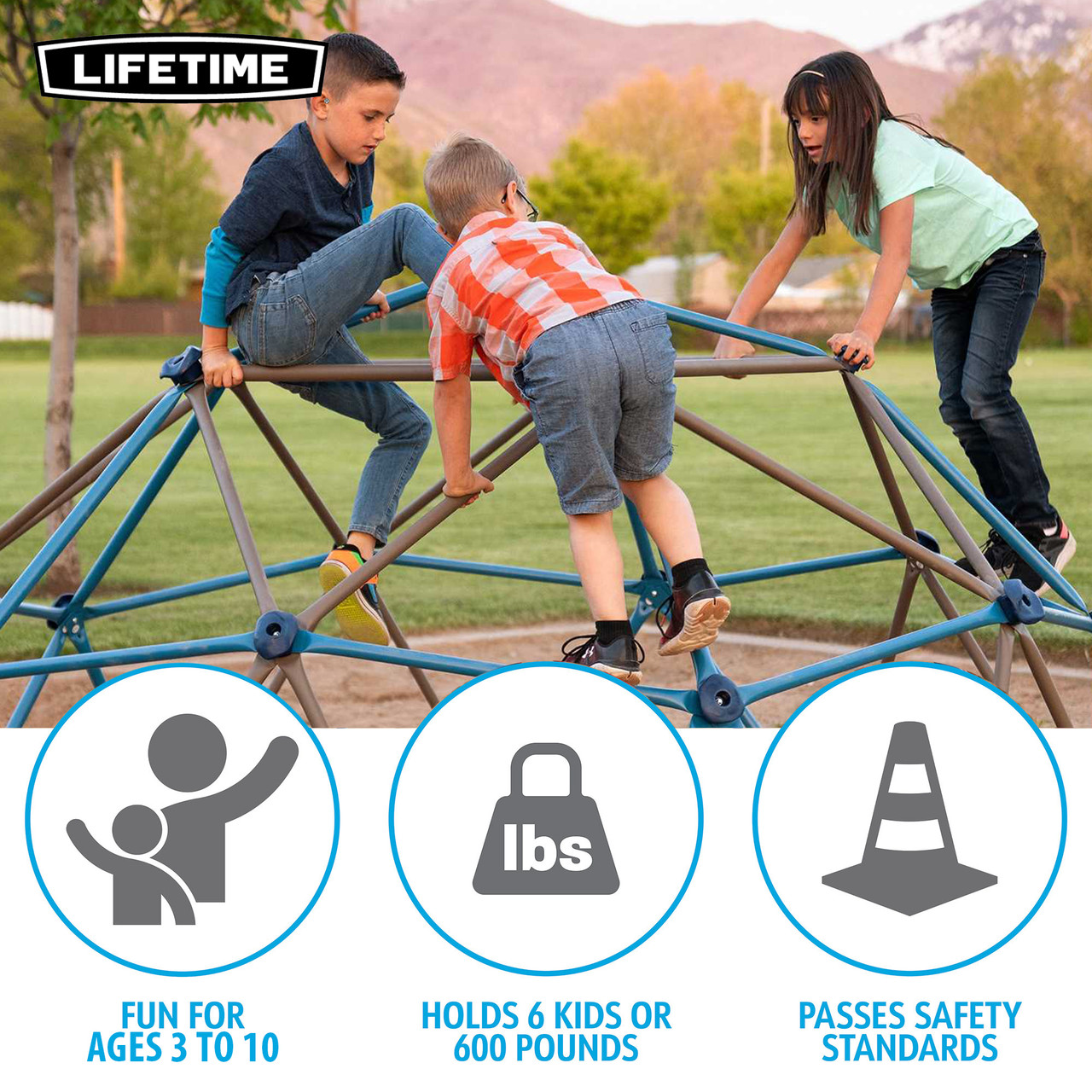 GRAPEVINE「Lifetime」 Lifetime Backyard Climbing Dome - SwingSetMall.com