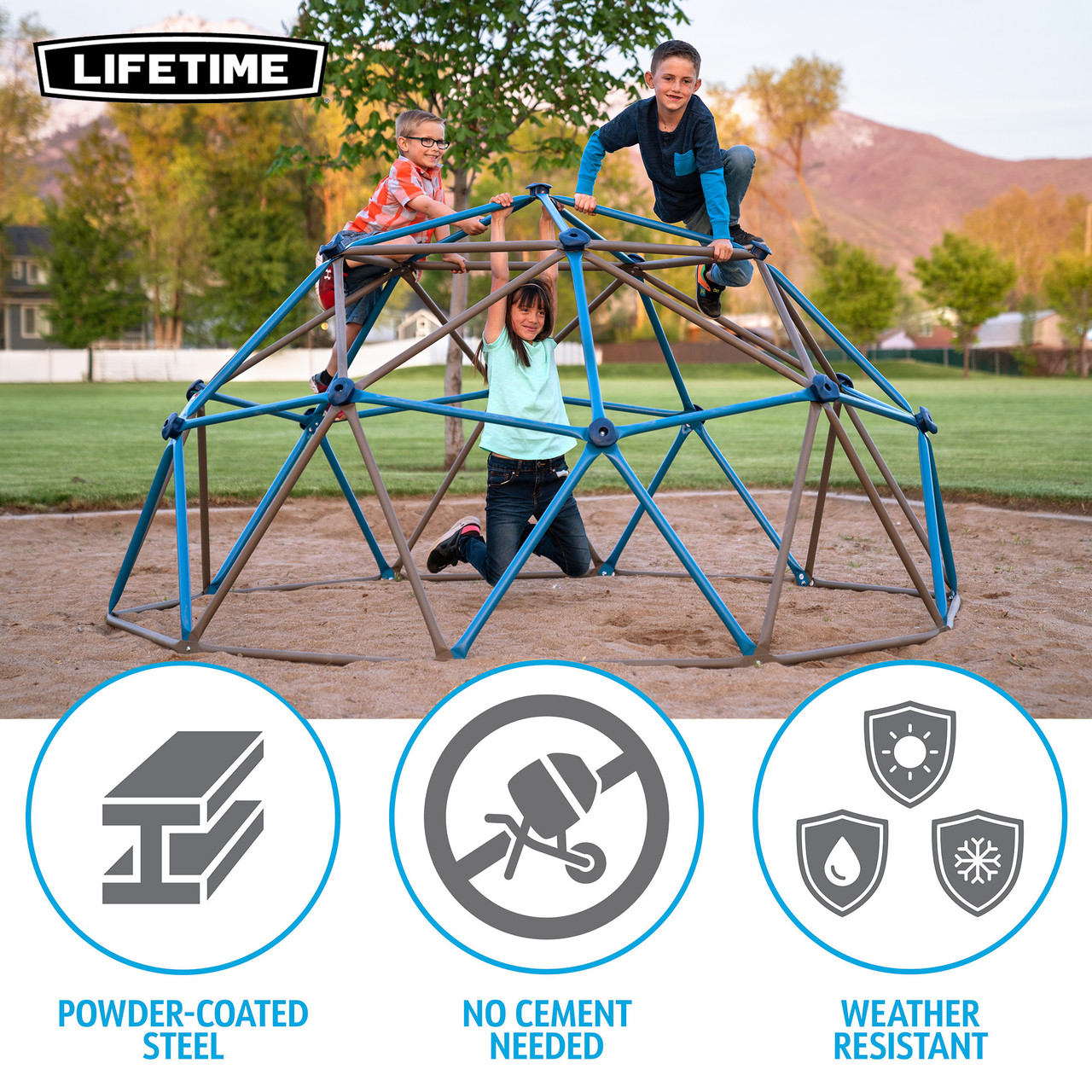 GRAPEVINE「Lifetime」 Lifetime Backyard Climbing Dome - SwingSetMall.com