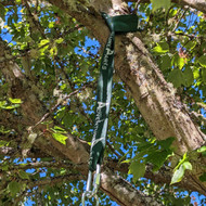 DIY: Installing A Tree Swing, Safety Tips