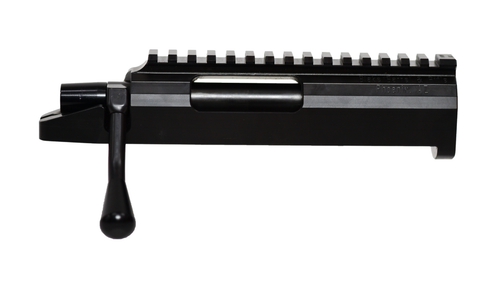 PARAGON F-Open Action PAR0121 RB, LP, RE