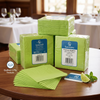 Swantex Lime Zest 2-Ply Napkins 33x33cm (Pack of 2000)