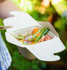Sabert Rectangular 500ml Meal Box PUL42050160