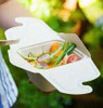 Sabert Rectangular 750ml Meal Box PUL43070240