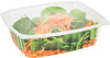 Somoplast [962] Clear Hinged Rect. Salad Nut Container [1000cc] (a pack of 500)