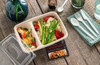 Sabert 2 Compartment Rectangular Pulp Container PUL46229 (800ml) - Pack of 300  Supply Express